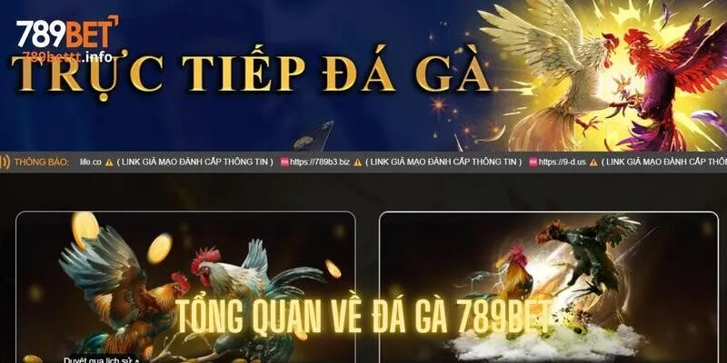Tổng quan về sảnh game ấn tượng với hơi hướng truyền thống