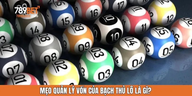 Mẹo quản lý vốn của bạch thủ lô là gì?